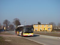 MAN NL283 Lion's City #598