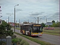 MAN NL283 Lion's City #598