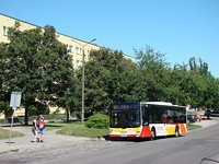 MAN NL283 Lion's City #598