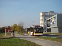 MAN NL283 Lion's City #598