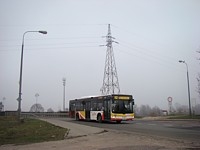 MAN NL283 Lion's City #598