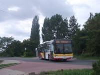 MAN NL283 Lion's City #599