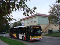 MAN NL283 Lion's City #599