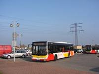 MAN NL283 Lion's City #599