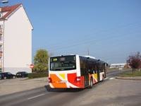 MAN NL283 Lion's City #599