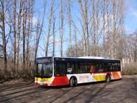 MAN NL283 Lion's City #599
