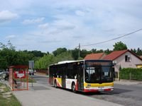 MAN NL283 Lion's City #599