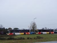 MAN NL283 Lion's City #599