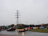 MAN NL283 Lion's City #599