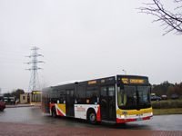 MAN NL283 Lion's City #599