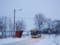 MAN NL283 Lion's City #599