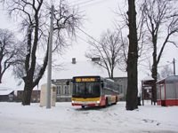 MAN NL283 Lion's City #599