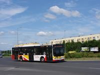 MAN NL283 Lion's City #599