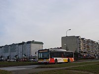 MAN NL283 Lion's City #599