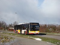 MAN NL283 Lion's City #599