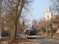 MAN NL283 Lion's City #599