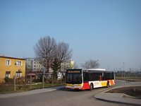 MAN NL283 Lion's City #599