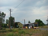 MAN NL283 Lion's City #599