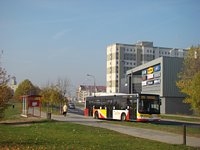 MAN NL283 Lion's City #599