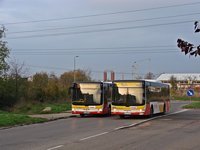 MAN NL283 Lion's City #600