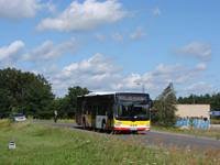 MAN NL283 Lion's City #601