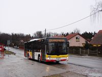 MAN NL283 Lion's City #601