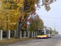 Zdj�cie miesi�ca