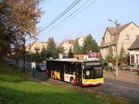 Zdj�cie miesi�ca