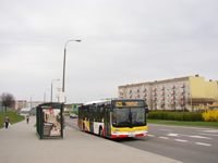 MAN NL283 Lion's City #602