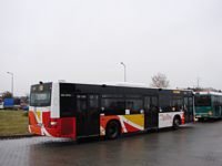 MAN NL283 Lion's City #602