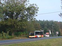 MAN NL283 Lion's City #602