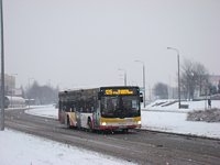MAN NL283 Lion's City #602