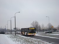 MAN NL283 Lion's City #602