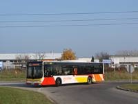 Zdj�cie miesi�ca