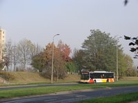 MAN NL283 Lion's City #603