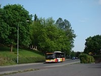 MAN NL283 Lion's City #603