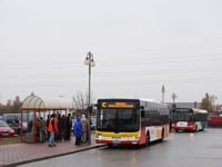 MAN NL283 Lion's City #604