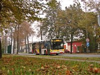 MAN NL283 Lion's City #604