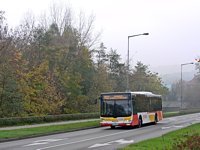 MAN NL283 Lion's City #604