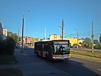 MAN NL283 Lion's City #604