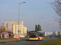 Zdj�cie miesi�ca