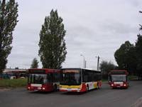 MAN NL283 Lion's City #606