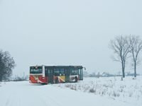 MAN NL283 Lion's City #606