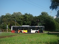MAN NL283 Lion's City #606