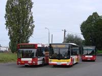 MAN NL283 Lion's City #607
