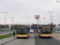 MAN NL283 Lion's City #607