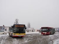 MAN NL283 Lion's City #607