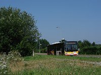 MAN NL283 Lion's City #607