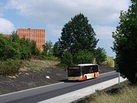 MAN NL283 Lion's City #607