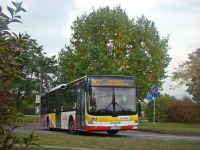 MAN NL283 Lion's City #607